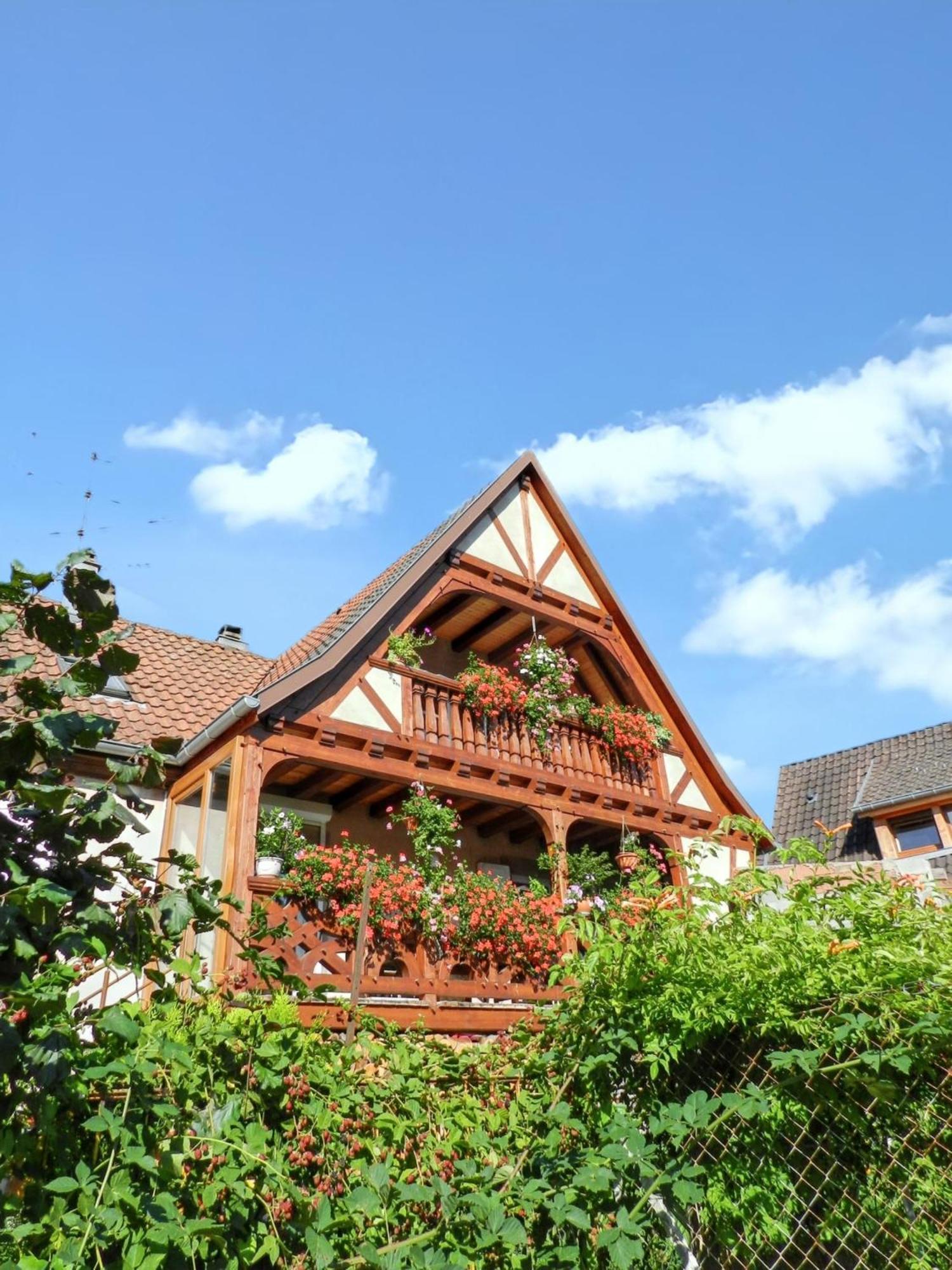 Maison de 2 chambres avec jardin clos et wifi a Triembach au Val Extérieur photo